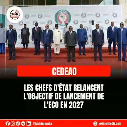 CEDEAO/Monnaie communautaire ECO : Ces questions sans réponses